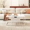 Multi-Functional Coffee Table Modern Lift Top with Hidden Storage